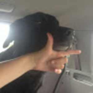 Meet your Posher, Haley